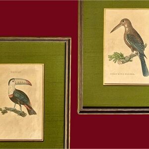 Pair 1815 Hand Colored Bird Copperplate Engraving Prints Naturalist Ornithology